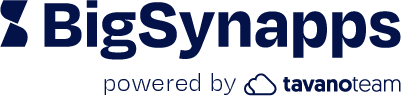 BigSynapps logo